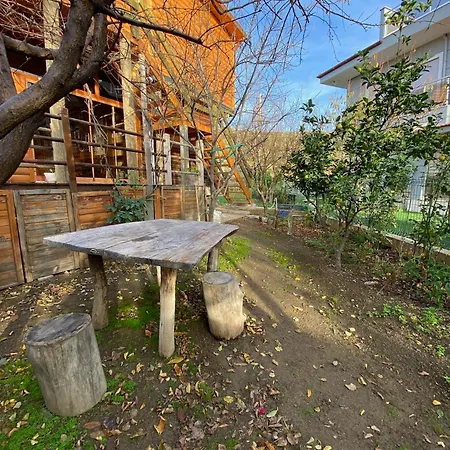 Hotel Sekoya Pansiyon *