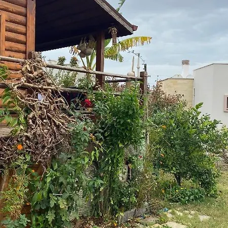 Sekoya Pansiyon Seferihisar