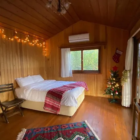 Hotel Sekoya Pansiyon *