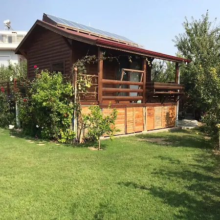 Sekoya Pansiyon فندق